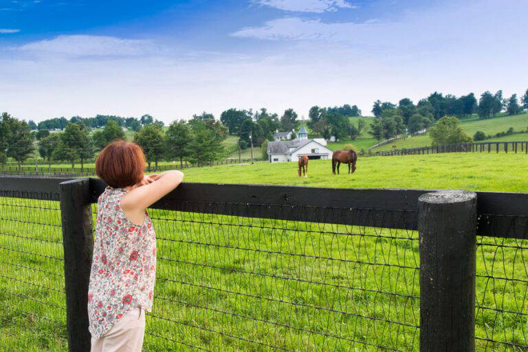 Woman at a fence with horses within a field