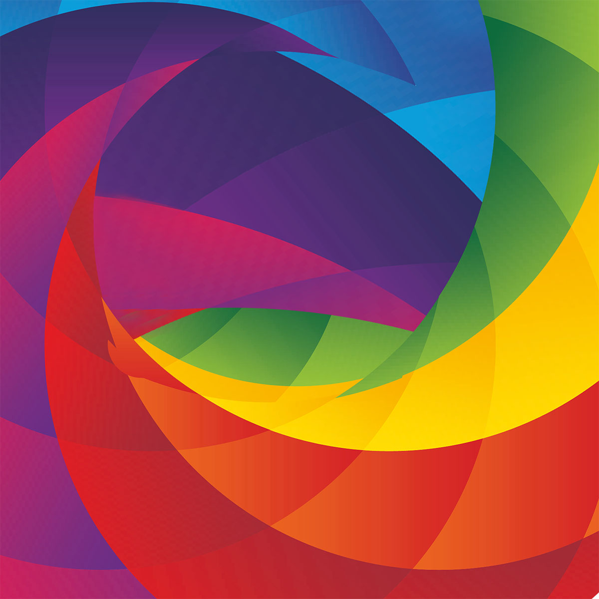 N-Compass full circle in square